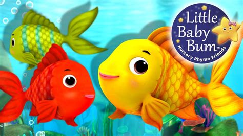 the fish song|The Fish Song .